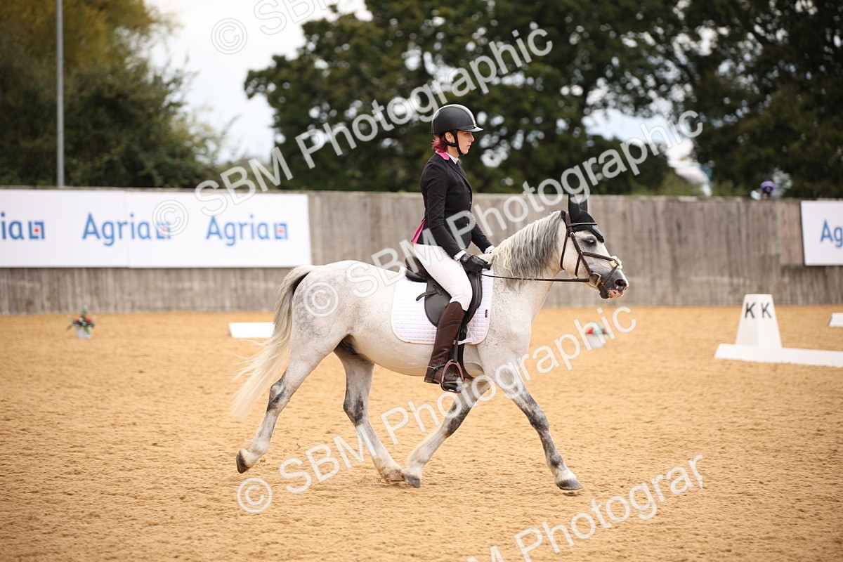 SBM_09150 - D8 Small Tour Championship Prelim 7
