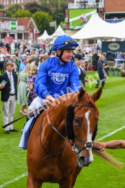 170623-Race 2-Wild Lion-0320 - Race 2 2.35pm Sky Bet Handicap