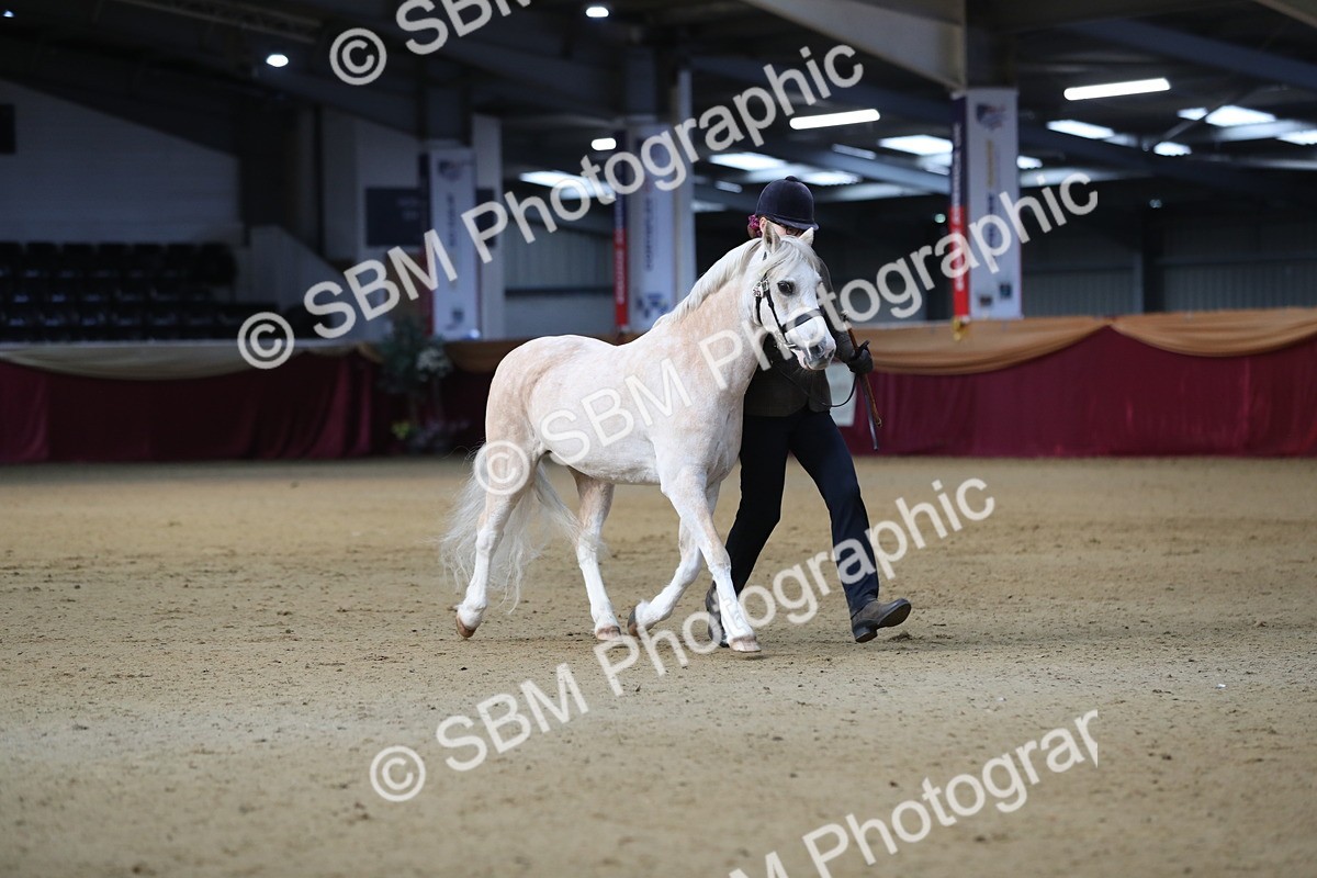 SBM_00265 - Class 1a - Area IH Diamond
