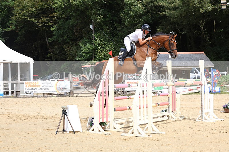 3E7A4276 - Class 8: Senior Foxhunter/1.20 open
