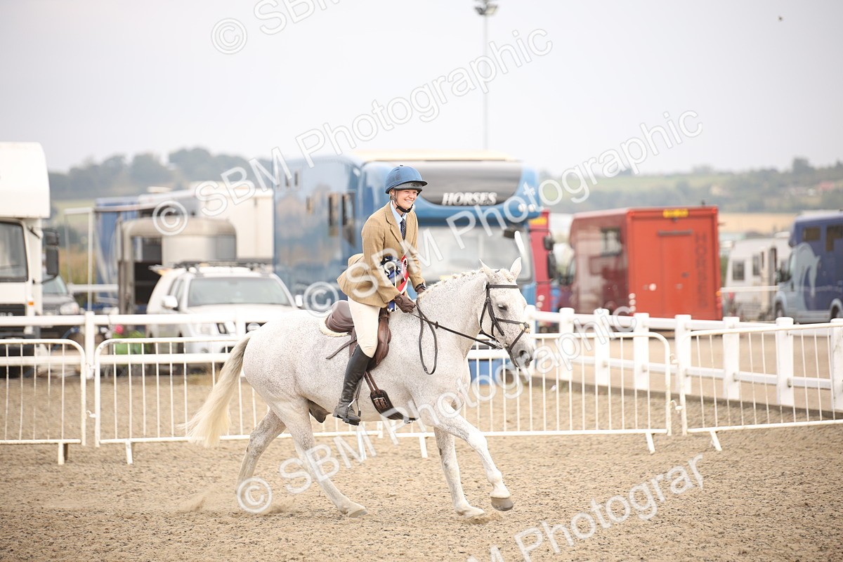 SBM_17363 - Class 410b - Working Veteran 90cm (20+)