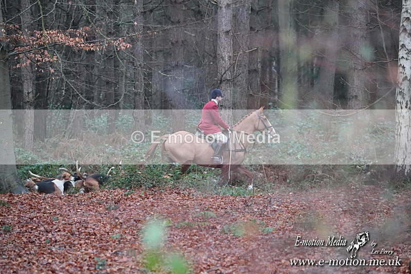 HUPY 261224 76 - Pytchley with Woodland Hunt Boxing Day Meet 26th December 2024