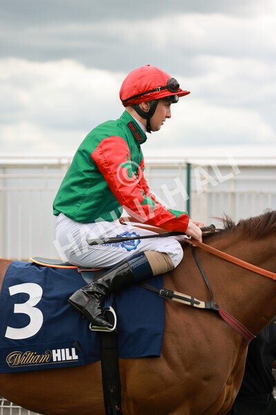 yr21052022r3-5 - Race 3: 3:30pm William Hill Best Odds Guaranteed Stakes