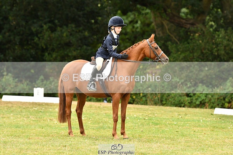 250820A-111013-04905 - 11am to 12