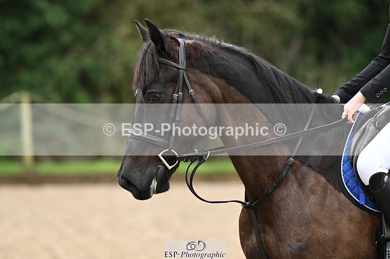 250322A-083020-01806 - Cls 16 85cm Amateur Quali