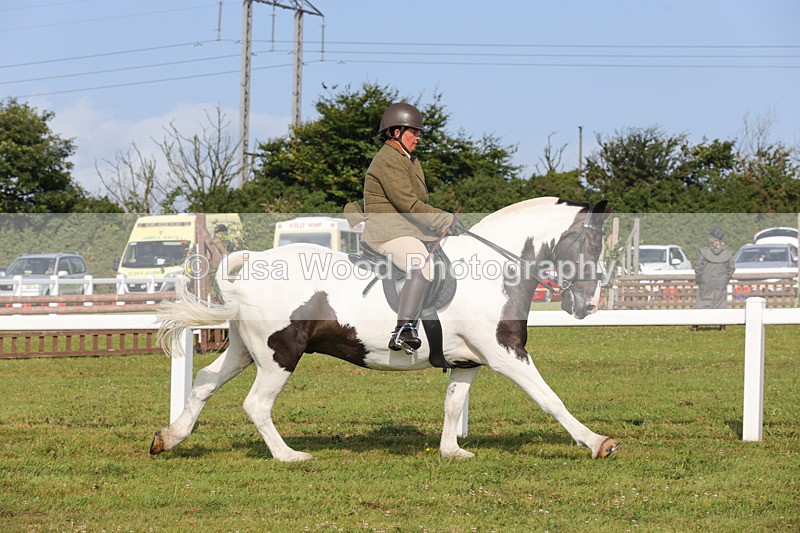1X9A3233 - Class 28: Ridden Native/Trad Coloured Pony