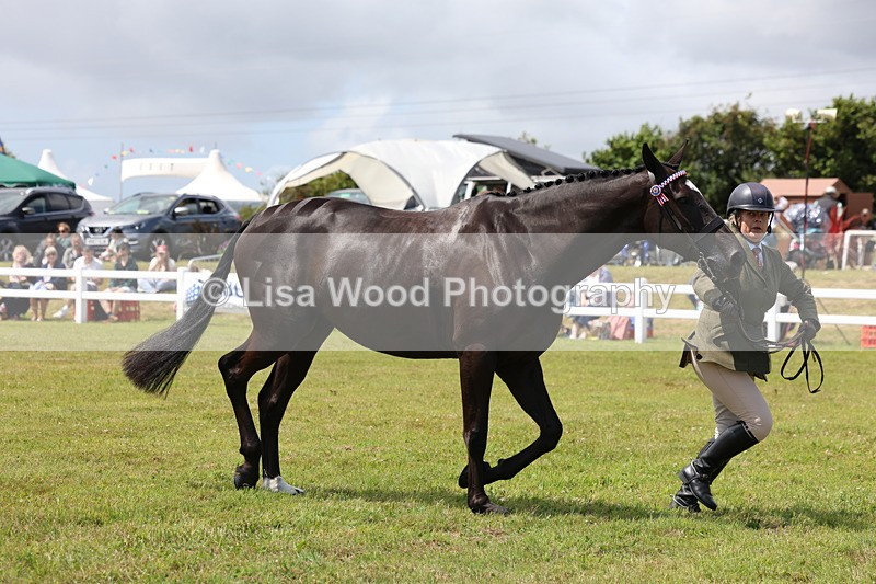 3E7A1241 - Class 8: Open Riding Horse/Hack