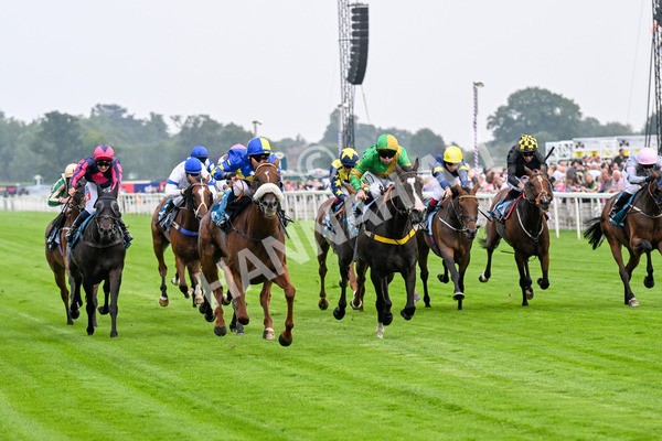 250725-Race 2-Rock N Roll Pinkie-0367 - Race 2 6.03pm Elevator Company Handicap