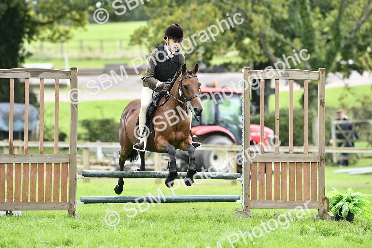 SBM_45609 - S33 - Working Hunter Pony