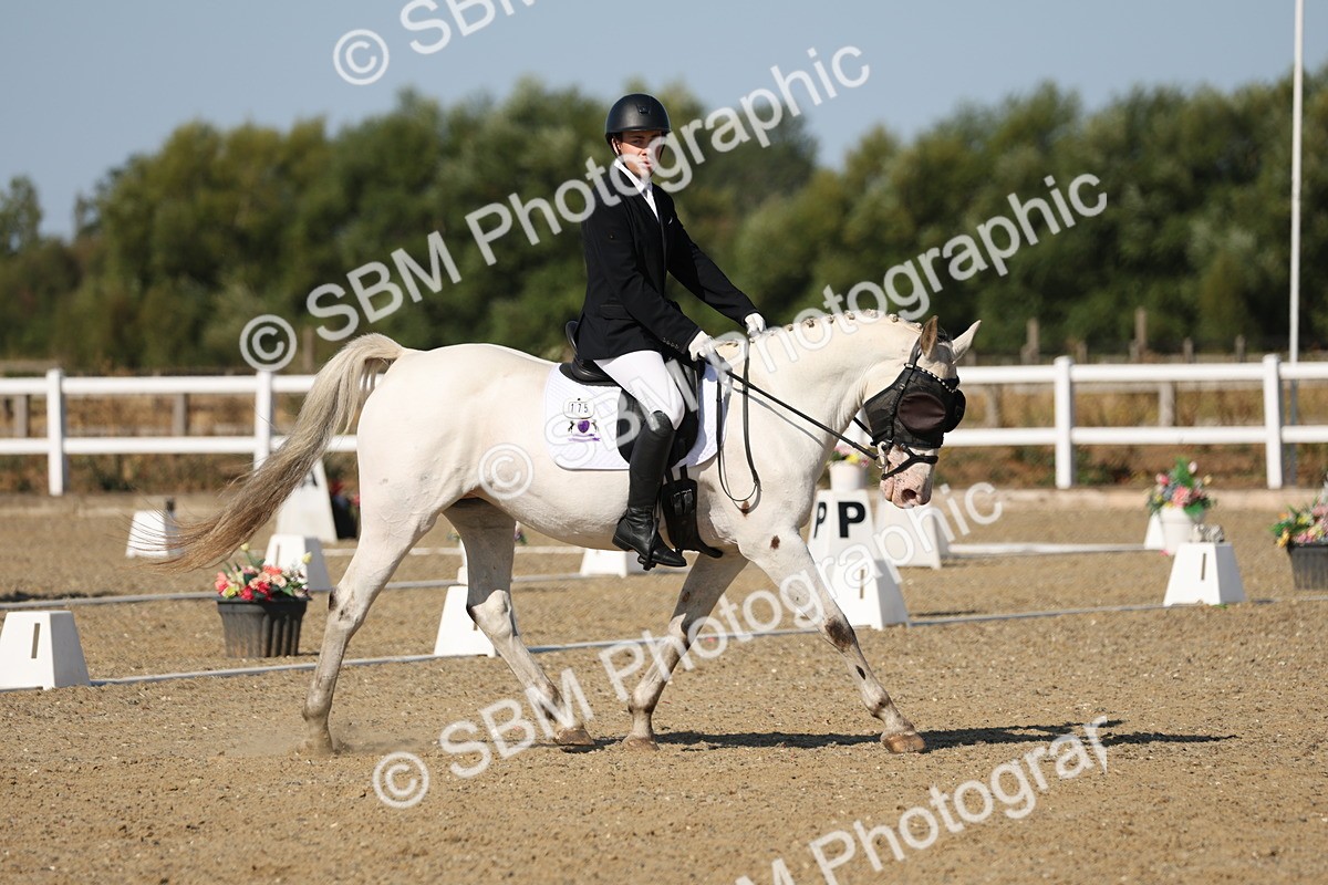 SBM_012811 - Class 1 - P5 Bronze 9.00.10.12