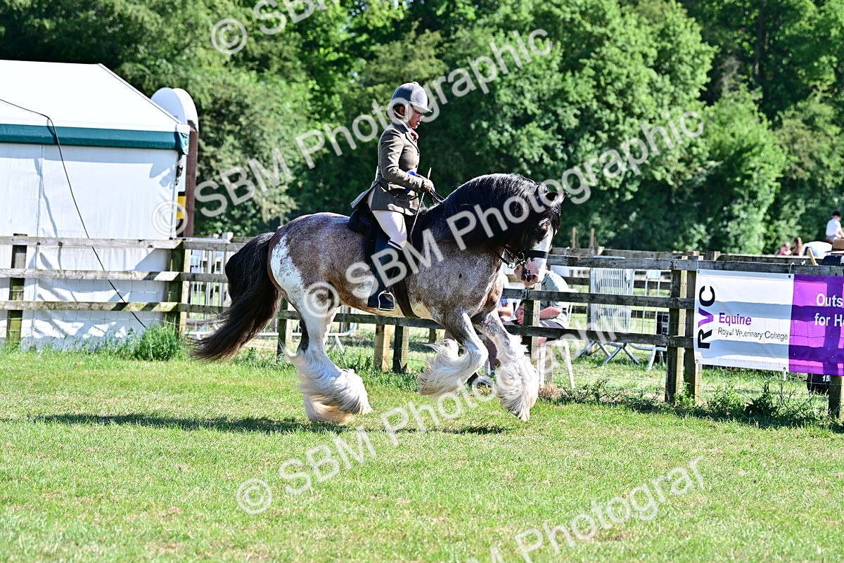 SBM_19471 - Class 101-102 - BSPS LIHS Performance Coloured Horse/Pony