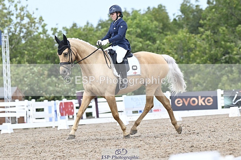 250907-131653-09882 - 025-Carrie.EveGekkos.Gold