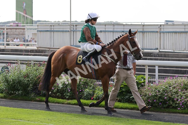 yr05092021rP-7 - Pony Races 138 and 148 cm