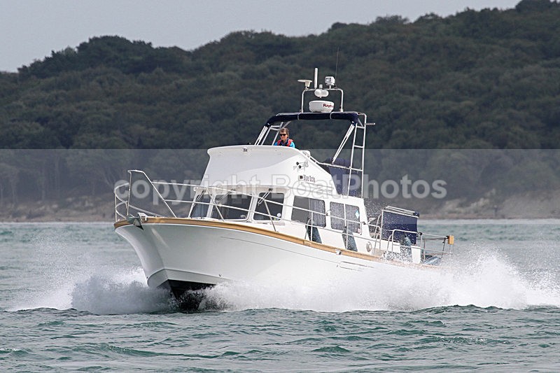 150816 BLUE OCTO - CORVETTE 320 IMG_9614 - Flybridge Cruisers