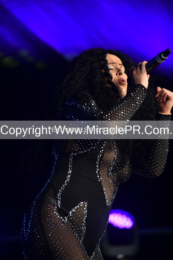 SH4_6050 - The Cher Experience