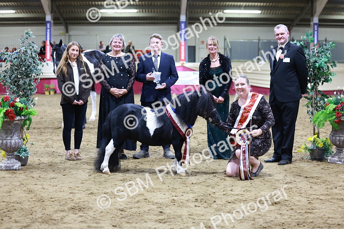 SBM_20863 - Class L - Coloured Champ