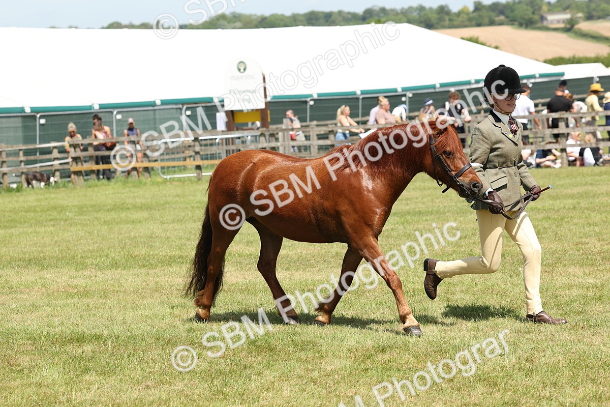 SBM_06857 - Class 26-30 - Mountain and Moorland Ridden