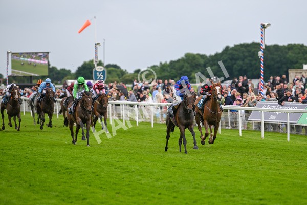 150624-Race 1-Lord Melbourne-6706 - Race 1 1.50pm Queen Mother's Cup Handicap