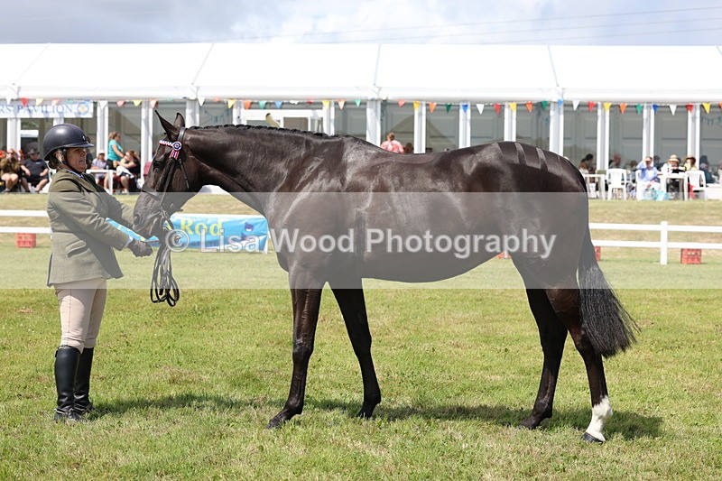 3E7A1237 - Class 8: Open Riding Horse/Hack