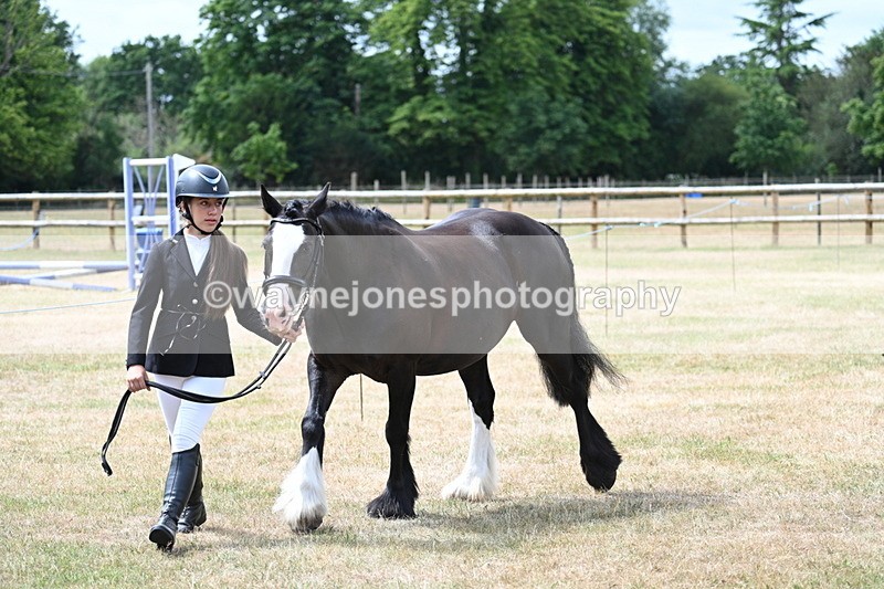WJ7_1660 - Class 4 Prettiest Mare up to 14.2hh in hand