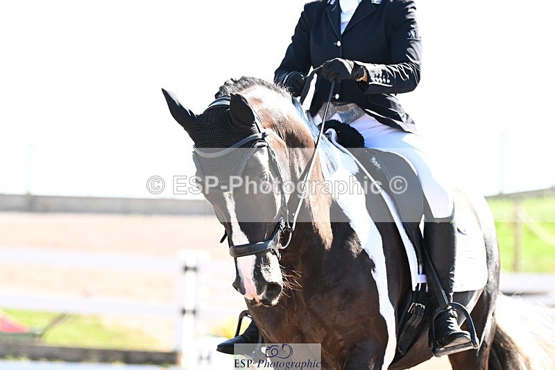 240816A-101500-03784 - 148-Donna.Willis-Cerrighedd.Yago