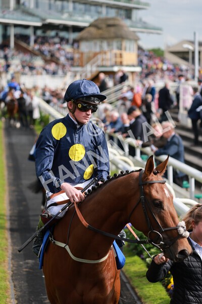 yr21052022r6-8 - Race 6: 4:42pm Yorkshire Regiment Stakes