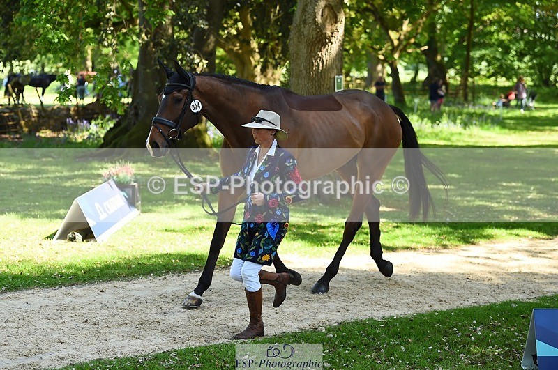 230524-152124-00224 - 324-DRUMGIVEN_MR_CHARISMA-Jeanette_Brakewell-WEDTrotUp+DR