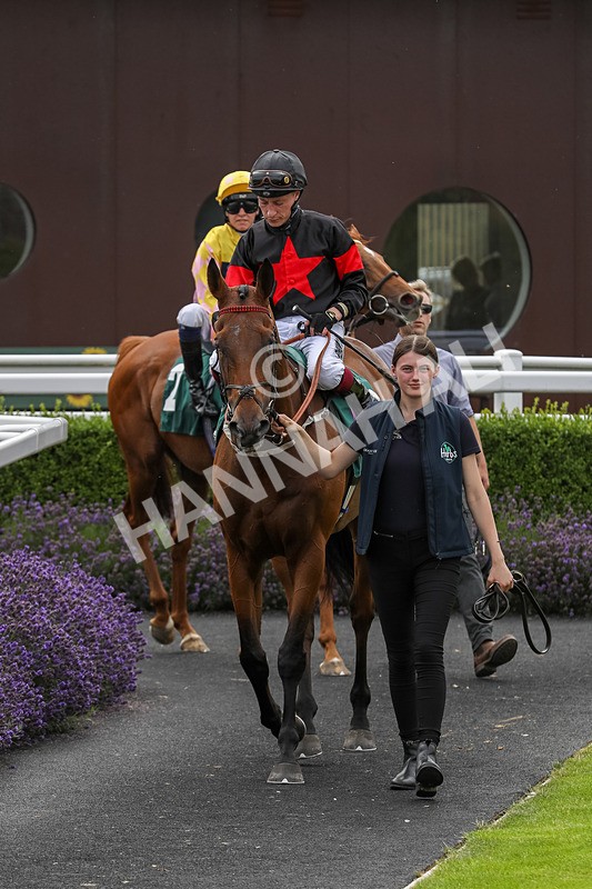 240724-Race 4-Swinging Eddie-3531 - Race 4