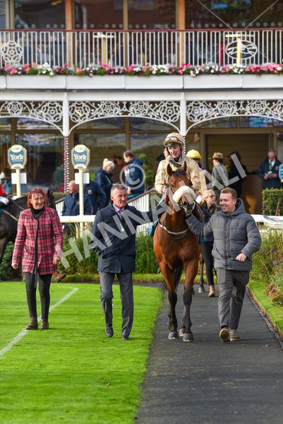 131023-Race 5-Irish Nectar-9728 - Race 5 4.25pm Parsonage Hotel And Cloisters Spa Nursery Handicap