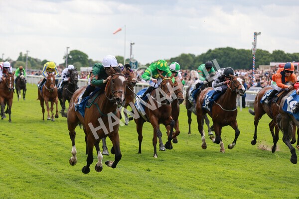 yr21052022r2-37 - Race 2: 2:20pm William Hill Bet Boost Stakes