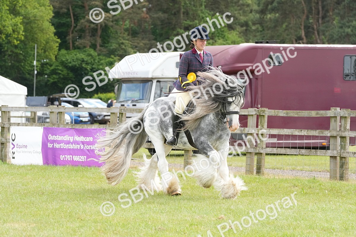 SBM_17353 - Class 107-108 - LIHS BSPS Performance Coloured Horse Pony