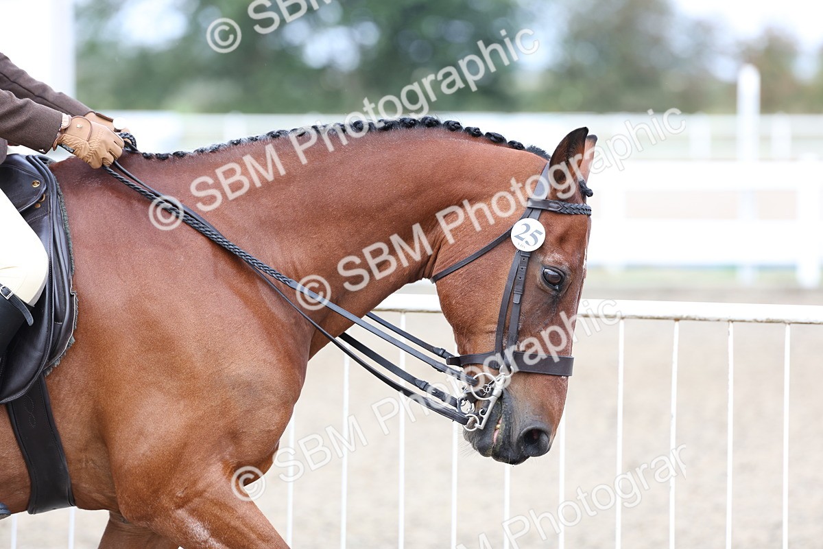 SBM_01454 - Class 52 - Ridden Veteran