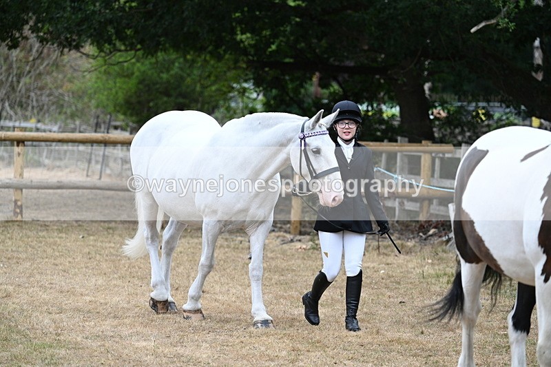 WJ7_8688 - Class 4a Prettiest Mare 14.2hh and over