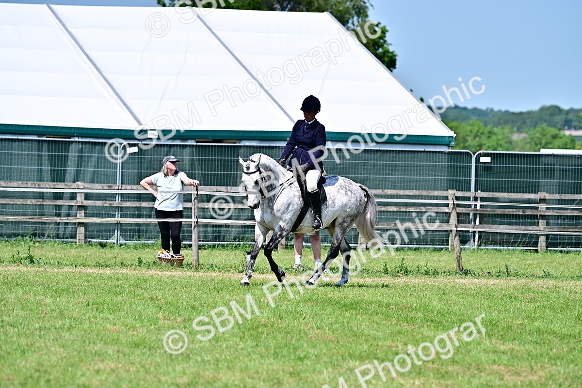 SBM_17431 - Class 95-97 - BSPS LHS Performance Ponies