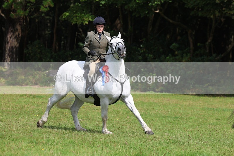 3E7A6045 - Working Hunter Championship