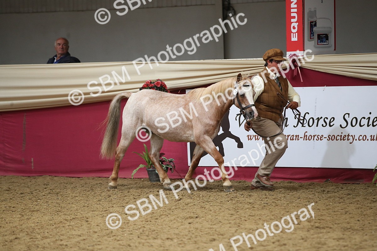 SBM_05257 - Class 8R - Regional IH Veteran
