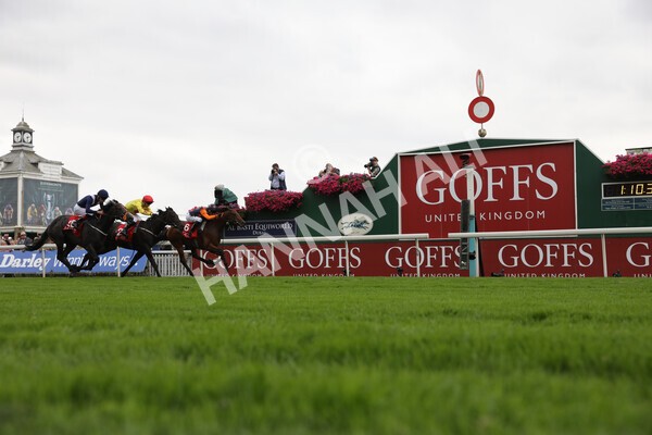 yr19082021r2-15 - Race 2 2.25pm Goffs UK Premier Yearling Stakes