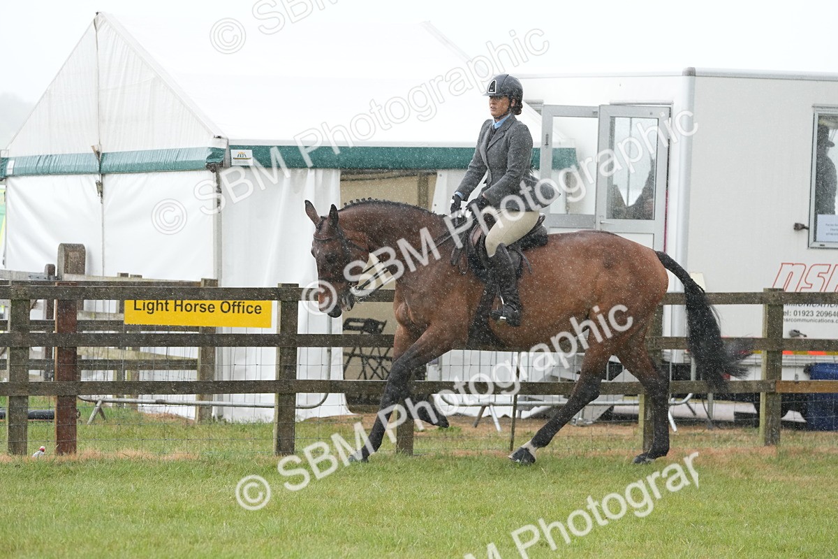 SBM_12673 - Class 97-98 - LIHS BSHA Rising Star Working Show Horse Hunter