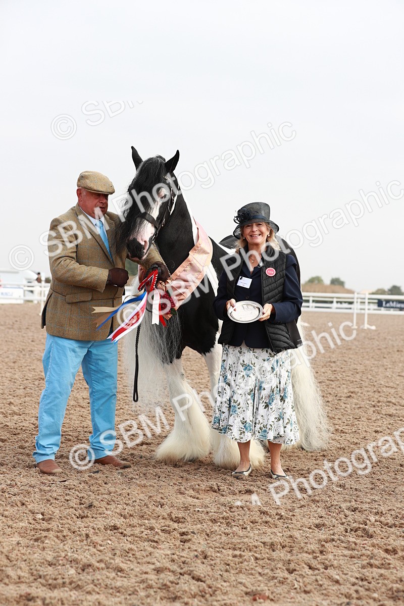 SBM_09563 - Class 201 Best Turned Out IH