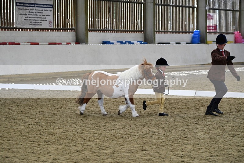 WJ5_4909 - Class 7 In hand coloured / odd coloured