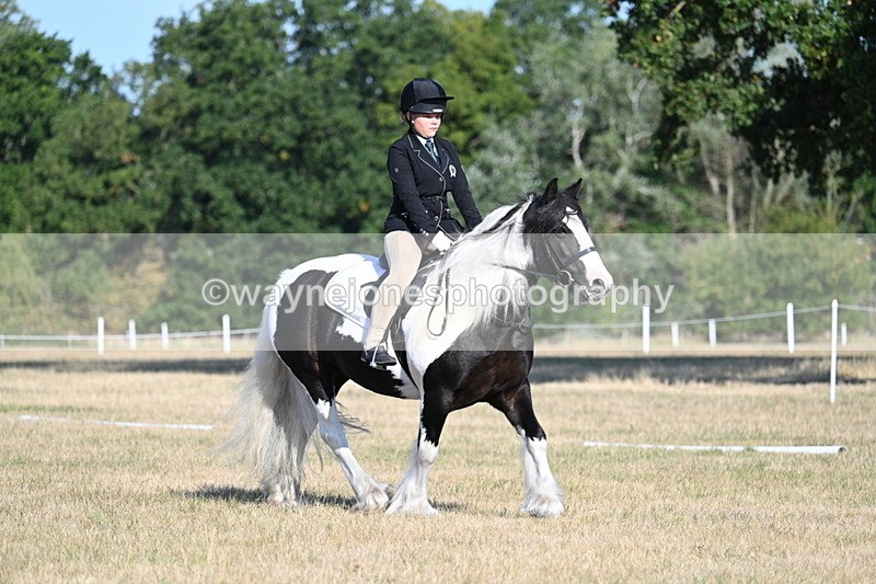 WJ7_8807 - Time 09:00 to 09:24