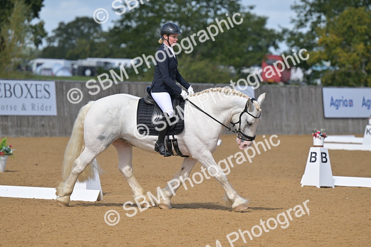 SBM_08003 - D8 - Small Tour Championship Prelim 1