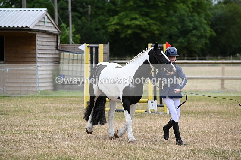 WJ6_4390 - Class 10 Coloured In-hand