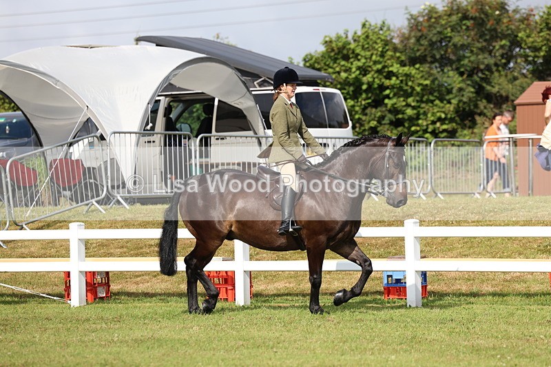 3E7A8871 - Class 3: Rising Star S/L Hunter