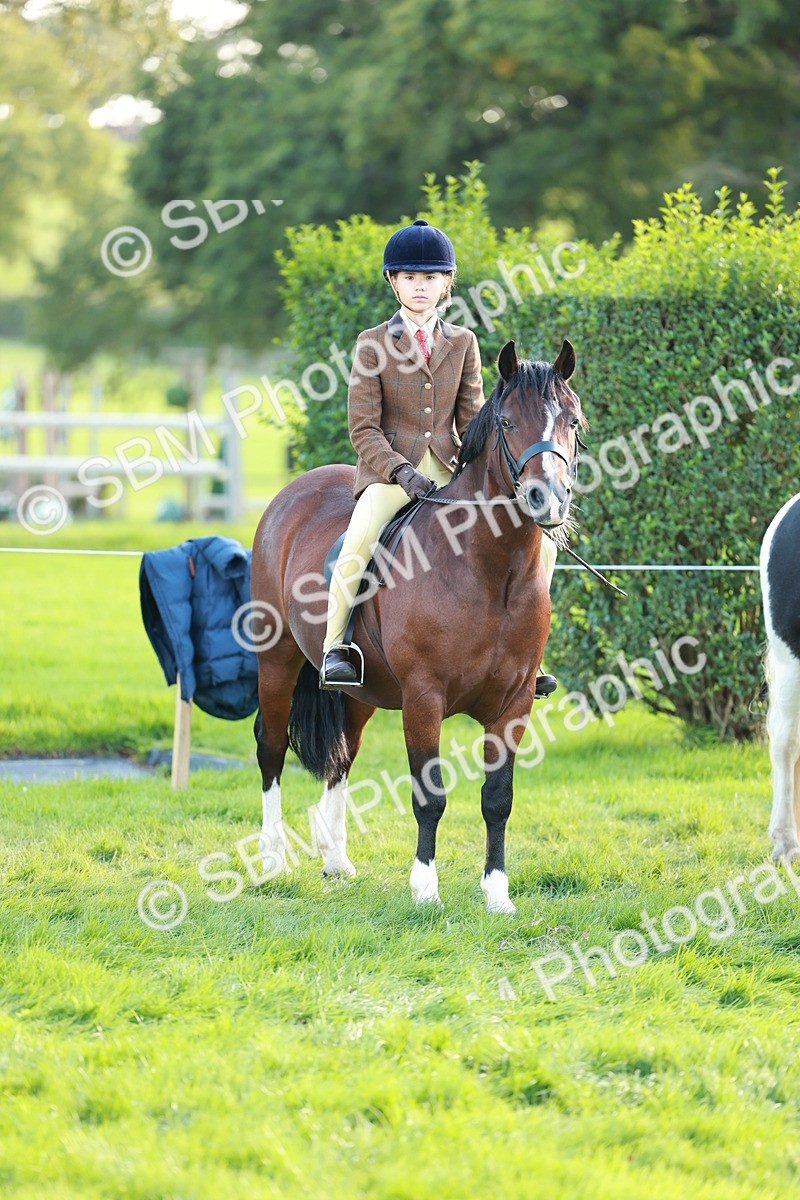 SBM_28785 - S7 - Novice & Newcomer Ridden Pony
