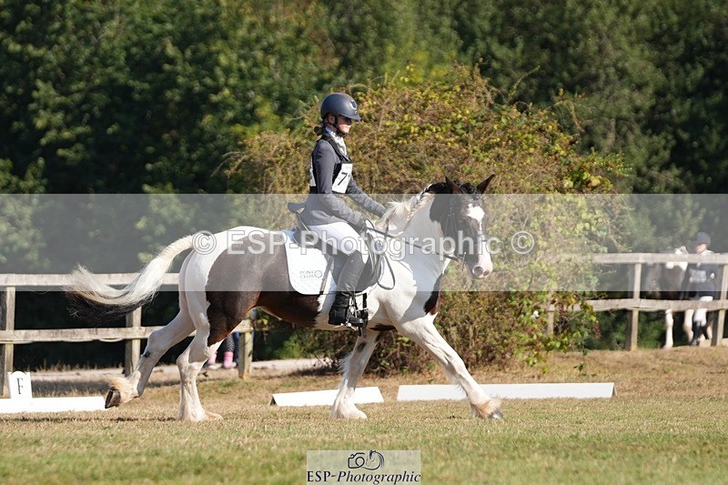 250823A-091336-25636 - Arena A