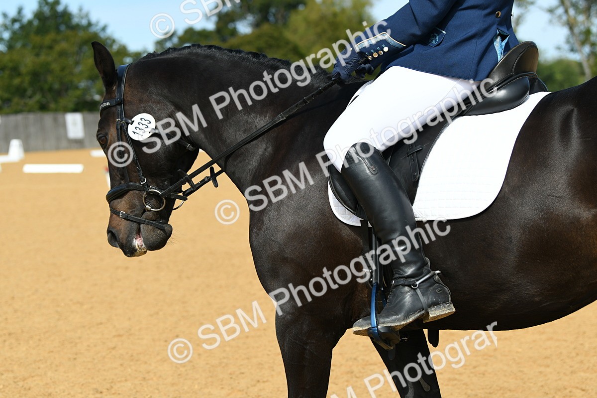 SBM_22439 - D13 - Grand Tour Championship - Prelim 12