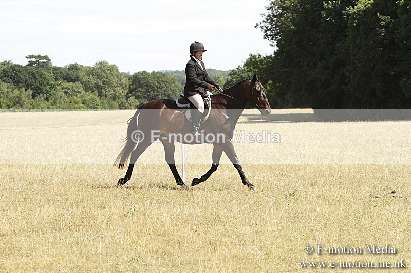 _BS_0721 - BVRC Show 2018 Ring 1