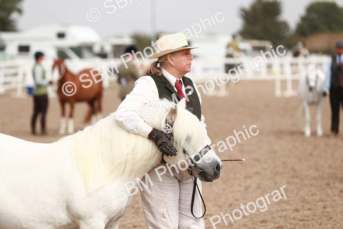 SBM_12530 - Class 207 IH M&M