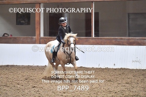 BPP_7489 - 40CM WORKING HUNTER